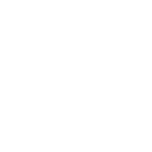 westwind logo